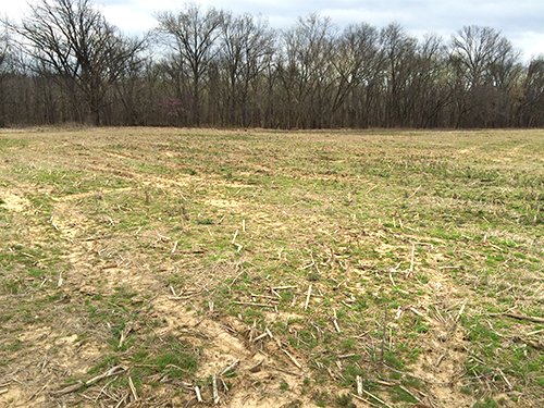 Property photo 1 - LAND AUCTION - 192+/- ACRES OFFERED IN 1 TRACT IN SALINE COUNTY, ILLINOIS