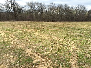 Property photo 1 - LAND AUCTION - 192+/- ACRES OFFERED IN 1 TRACT IN SALINE COUNTY, ILLINOIS