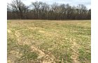 Property photo 1 - LAND AUCTION - 192+/- ACRES OFFERED IN 1 TRACT IN SALINE COUNTY, ILLINOIS