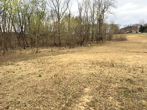 Property photo 3 - LAND AUCTION - 192+/- ACRES OFFERED IN 1 TRACT IN SALINE COUNTY, ILLINOIS