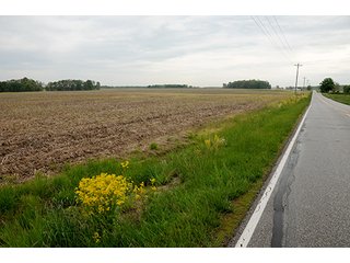 Property photo 34 - REAL ESTATE AUCTION - 512.5+/- ACRES OFFERED IN 9 TRACTS IN SWITZERLAND COUNTY, INDIANA