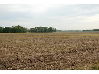 Property photo 21 - REAL ESTATE AUCTION - 512.5+/- ACRES OFFERED IN 9 TRACTS IN SWITZERLAND COUNTY, INDIANA