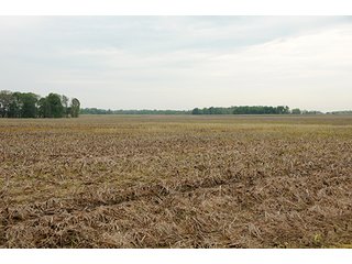 Property photo 10 - REAL ESTATE AUCTION - 512.5+/- ACRES OFFERED IN 9 TRACTS IN SWITZERLAND COUNTY, INDIANA