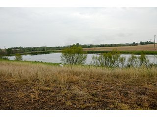 Property photo 36 - REAL ESTATE AUCTION - 512.5+/- ACRES OFFERED IN 9 TRACTS IN SWITZERLAND COUNTY, INDIANA