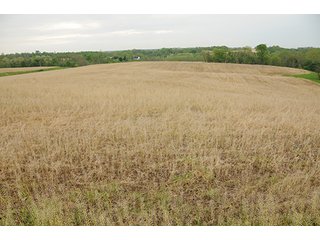 Property photo 15 - REAL ESTATE AUCTION - 512.5+/- ACRES OFFERED IN 9 TRACTS IN SWITZERLAND COUNTY, INDIANA