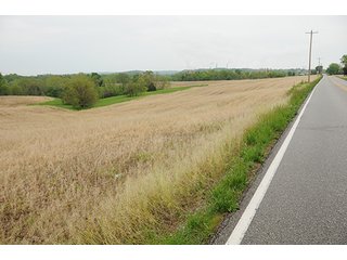 Property photo 20 - REAL ESTATE AUCTION - 512.5+/- ACRES OFFERED IN 9 TRACTS IN SWITZERLAND COUNTY, INDIANA