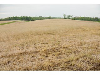 Property photo 18 - REAL ESTATE AUCTION - 512.5+/- ACRES OFFERED IN 9 TRACTS IN SWITZERLAND COUNTY, INDIANA