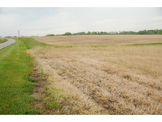 Property photo 26 - REAL ESTATE AUCTION - 512.5+/- ACRES OFFERED IN 9 TRACTS IN SWITZERLAND COUNTY, INDIANA