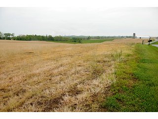 Property photo 28 - REAL ESTATE AUCTION - 512.5+/- ACRES OFFERED IN 9 TRACTS IN SWITZERLAND COUNTY, INDIANA