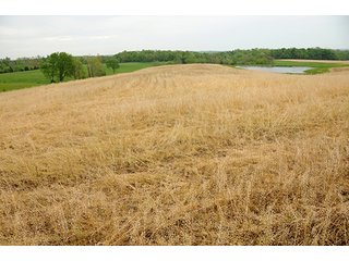 Property photo 29 - REAL ESTATE AUCTION - 512.5+/- ACRES OFFERED IN 9 TRACTS IN SWITZERLAND COUNTY, INDIANA