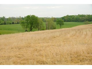 Property photo 16 - REAL ESTATE AUCTION - 512.5+/- ACRES OFFERED IN 9 TRACTS IN SWITZERLAND COUNTY, INDIANA