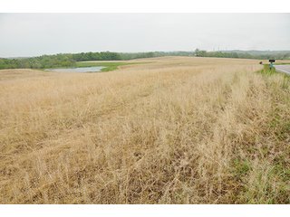 Property photo 17 - REAL ESTATE AUCTION - 512.5+/- ACRES OFFERED IN 9 TRACTS IN SWITZERLAND COUNTY, INDIANA