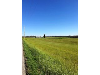 Property photo 31 - REAL ESTATE AUCTION - 512.5+/- ACRES OFFERED IN 9 TRACTS IN SWITZERLAND COUNTY, INDIANA