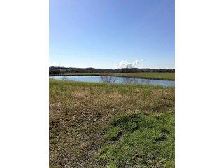 Property photo 37 - REAL ESTATE AUCTION - 512.5+/- ACRES OFFERED IN 9 TRACTS IN SWITZERLAND COUNTY, INDIANA