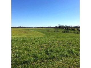 Property photo 32 - REAL ESTATE AUCTION - 512.5+/- ACRES OFFERED IN 9 TRACTS IN SWITZERLAND COUNTY, INDIANA