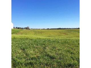 Property photo 35 - REAL ESTATE AUCTION - 512.5+/- ACRES OFFERED IN 9 TRACTS IN SWITZERLAND COUNTY, INDIANA