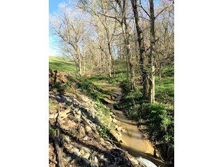 Property photo 30 - REAL ESTATE AUCTION - 512.5+/- ACRES OFFERED IN 9 TRACTS IN SWITZERLAND COUNTY, INDIANA