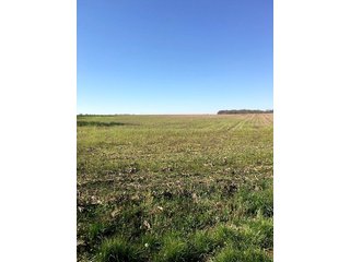 Property photo 11 - REAL ESTATE AUCTION - 512.5+/- ACRES OFFERED IN 9 TRACTS IN SWITZERLAND COUNTY, INDIANA