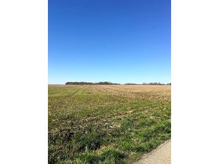 Property photo 13 - REAL ESTATE AUCTION - 512.5+/- ACRES OFFERED IN 9 TRACTS IN SWITZERLAND COUNTY, INDIANA