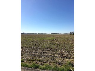 Property photo 23 - REAL ESTATE AUCTION - 512.5+/- ACRES OFFERED IN 9 TRACTS IN SWITZERLAND COUNTY, INDIANA