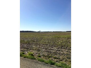 Property photo 14 - REAL ESTATE AUCTION - 512.5+/- ACRES OFFERED IN 9 TRACTS IN SWITZERLAND COUNTY, INDIANA