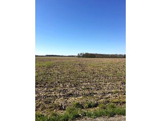 Property photo 24 - REAL ESTATE AUCTION - 512.5+/- ACRES OFFERED IN 9 TRACTS IN SWITZERLAND COUNTY, INDIANA