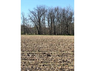 Property photo 22 - REAL ESTATE AUCTION - 512.5+/- ACRES OFFERED IN 9 TRACTS IN SWITZERLAND COUNTY, INDIANA