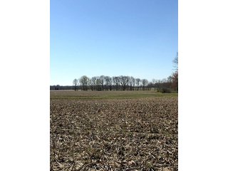 Property photo 25 - REAL ESTATE AUCTION - 512.5+/- ACRES OFFERED IN 9 TRACTS IN SWITZERLAND COUNTY, INDIANA