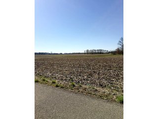 Property photo 19 - REAL ESTATE AUCTION - 512.5+/- ACRES OFFERED IN 9 TRACTS IN SWITZERLAND COUNTY, INDIANA