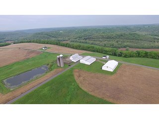Property photo 2 - REAL ESTATE AUCTION - 512.5+/- ACRES OFFERED IN 9 TRACTS IN SWITZERLAND COUNTY, INDIANA