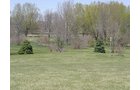 Property photo 6 - REAL ESTATE & PERSONAL PROPERTY AUCTION - 5.6+/- ACRES IN WHITLEY CO., INDIANA