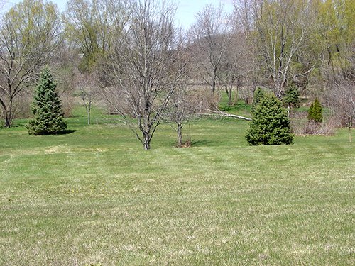 Property photo 7 - REAL ESTATE & PERSONAL PROPERTY AUCTION - 5.6+/- ACRES IN WHITLEY CO., INDIANA