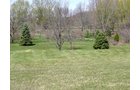 Property photo 7 - REAL ESTATE & PERSONAL PROPERTY AUCTION - 5.6+/- ACRES IN WHITLEY CO., INDIANA