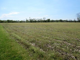 Property photo 5 - REAL ESTATE & PERSONAL PROPERTY AUCTION - 40+/- ACRES OFFERED IN 2 TRACTS IN VAN BUREN COUNTY, MICHIGAN