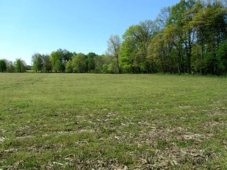 Property photo 1 - REAL ESTATE & PERSONAL PROPERTY AUCTION - 40+/- ACRES OFFERED IN 2 TRACTS IN VAN BUREN COUNTY, MICHIGAN
