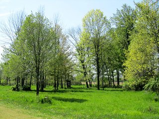 Property photo 4 - REAL ESTATE & PERSONAL PROPERTY AUCTION - 40+/- ACRES OFFERED IN 2 TRACTS IN VAN BUREN COUNTY, MICHIGAN