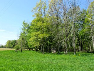 Property photo 3 - REAL ESTATE & PERSONAL PROPERTY AUCTION - 40+/- ACRES OFFERED IN 2 TRACTS IN VAN BUREN COUNTY, MICHIGAN