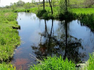 Property photo 8 - REAL ESTATE & PERSONAL PROPERTY AUCTION - 40+/- ACRES OFFERED IN 2 TRACTS IN VAN BUREN COUNTY, MICHIGAN