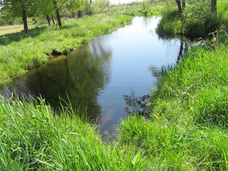 Property photo 7 - REAL ESTATE & PERSONAL PROPERTY AUCTION - 40+/- ACRES OFFERED IN 2 TRACTS IN VAN BUREN COUNTY, MICHIGAN