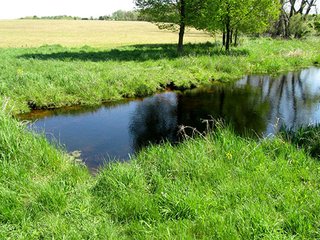 Property photo 9 - REAL ESTATE & PERSONAL PROPERTY AUCTION - 40+/- ACRES OFFERED IN 2 TRACTS IN VAN BUREN COUNTY, MICHIGAN