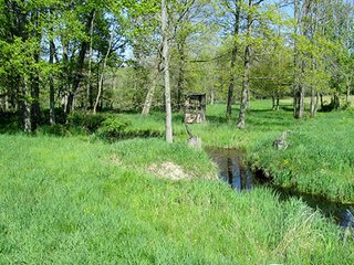 Property photo 10 - REAL ESTATE & PERSONAL PROPERTY AUCTION - 40+/- ACRES OFFERED IN 2 TRACTS IN VAN BUREN COUNTY, MICHIGAN