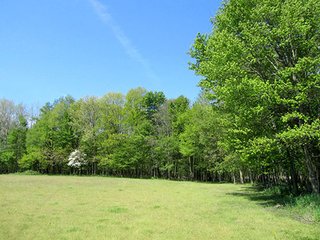 Property photo 2 - REAL ESTATE & PERSONAL PROPERTY AUCTION - 40+/- ACRES OFFERED IN 2 TRACTS IN VAN BUREN COUNTY, MICHIGAN