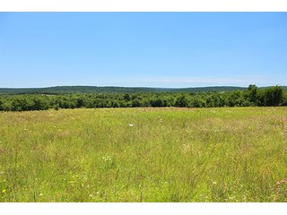 Property photo 4 - LAND AUCTION - 860+/- ACRES OFFERED IN 7 TRACTS IN PITTSBURG COUNTY, OKLAHOMA