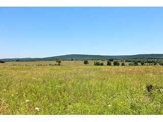 Property photo 6 - LAND AUCTION - 860+/- ACRES OFFERED IN 7 TRACTS IN PITTSBURG COUNTY, OKLAHOMA