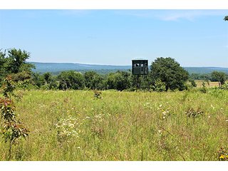 Property photo 7 - LAND AUCTION - 860+/- ACRES OFFERED IN 7 TRACTS IN PITTSBURG COUNTY, OKLAHOMA