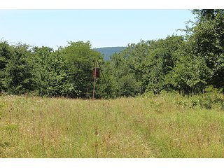 Property photo 9 - LAND AUCTION - 860+/- ACRES OFFERED IN 7 TRACTS IN PITTSBURG COUNTY, OKLAHOMA