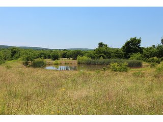 Property photo 3 - LAND AUCTION - 860+/- ACRES OFFERED IN 7 TRACTS IN PITTSBURG COUNTY, OKLAHOMA