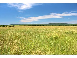 Property photo 13 - LAND AUCTION - 860+/- ACRES OFFERED IN 7 TRACTS IN PITTSBURG COUNTY, OKLAHOMA