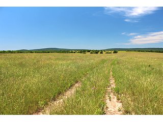 Property photo 14 - LAND AUCTION - 860+/- ACRES OFFERED IN 7 TRACTS IN PITTSBURG COUNTY, OKLAHOMA