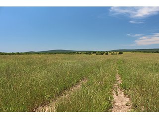 Property photo 15 - LAND AUCTION - 860+/- ACRES OFFERED IN 7 TRACTS IN PITTSBURG COUNTY, OKLAHOMA